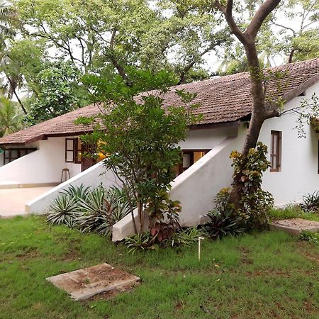 Banyan House - Luxurious 4 Bedroom Villa On One Acre, Near The Beach Nāgaon Exterior foto