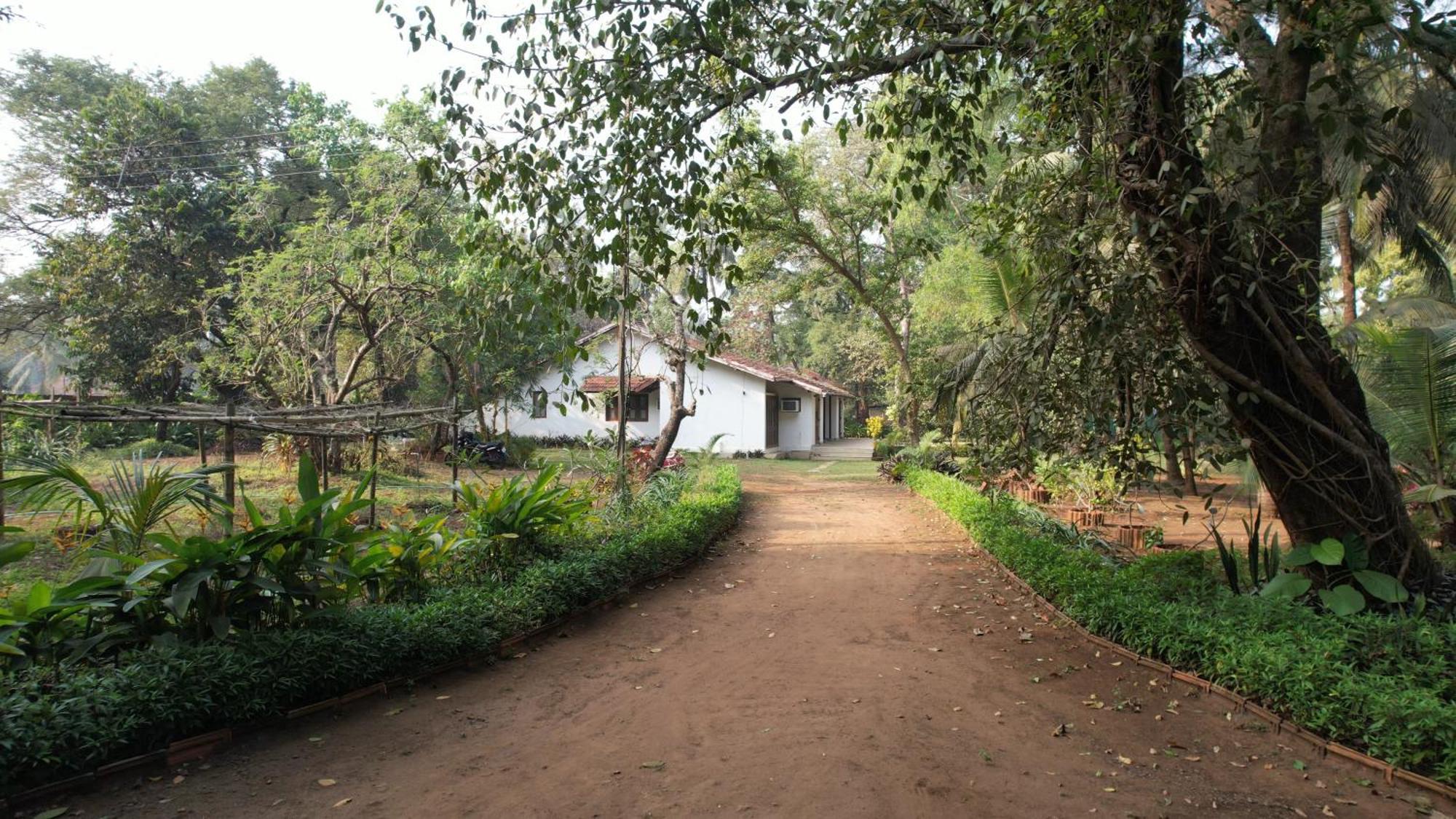 Banyan House - Luxurious 4 Bedroom Villa On One Acre, Near The Beach Nāgaon Exterior foto